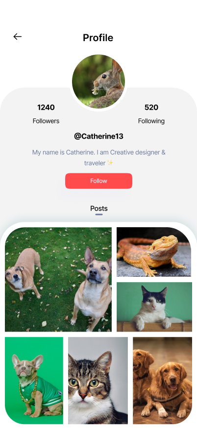 A Lucky's profile page with follower counts and a grid of pet posts